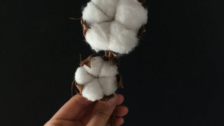 Nachhaltigkeit: Ökologische Bettwäsche und Zertifikate